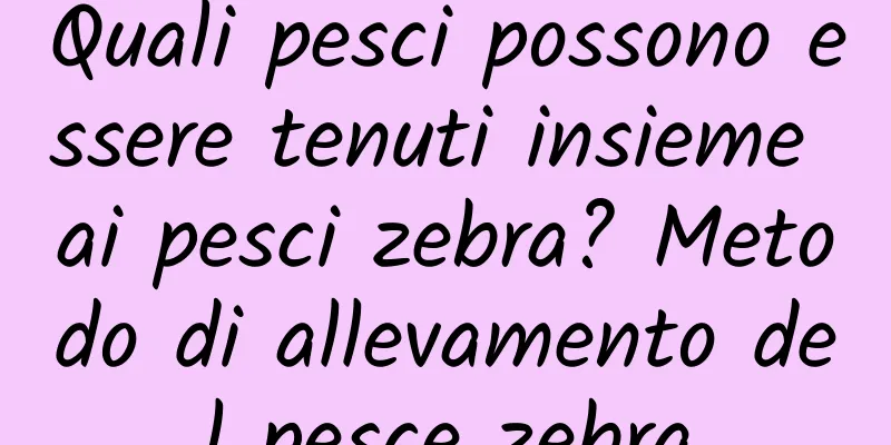 Quali pesci possono essere tenuti insieme ai pesci zebra? Metodo di allevamento del pesce zebra