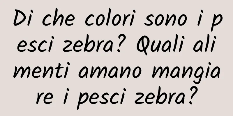 Di che colori sono i pesci zebra? Quali alimenti amano mangiare i pesci zebra?