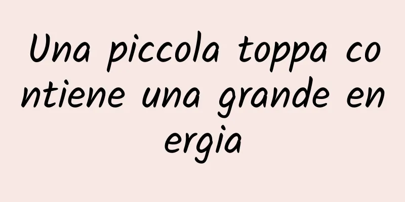 Una piccola toppa contiene una grande energia