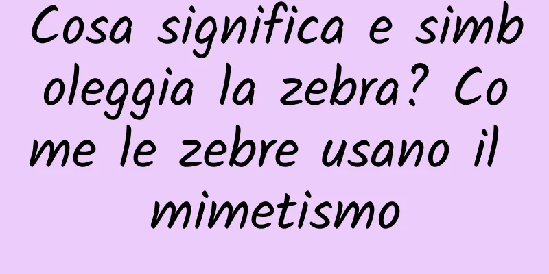 Cosa significa e simboleggia la zebra? Come le zebre usano il mimetismo