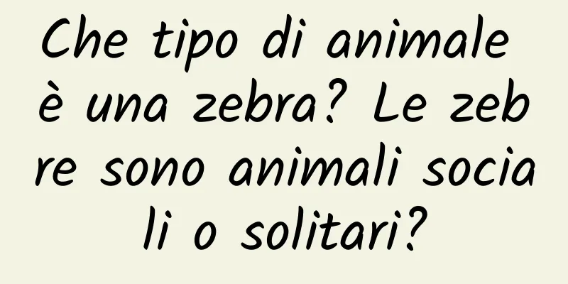Che tipo di animale è una zebra? Le zebre sono animali sociali o solitari?
