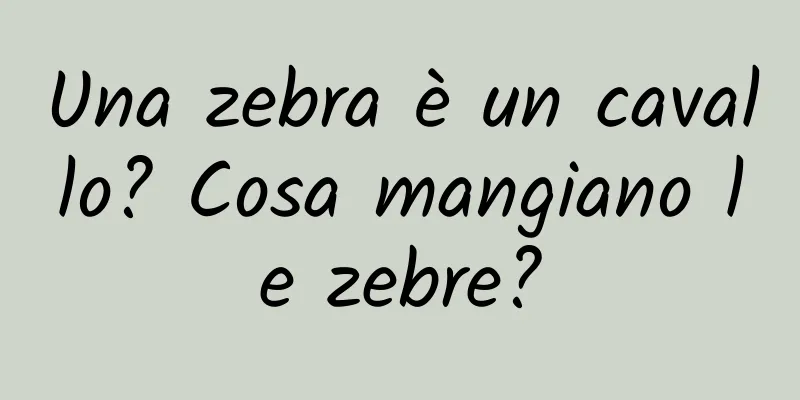 Una zebra è un cavallo? Cosa mangiano le zebre?