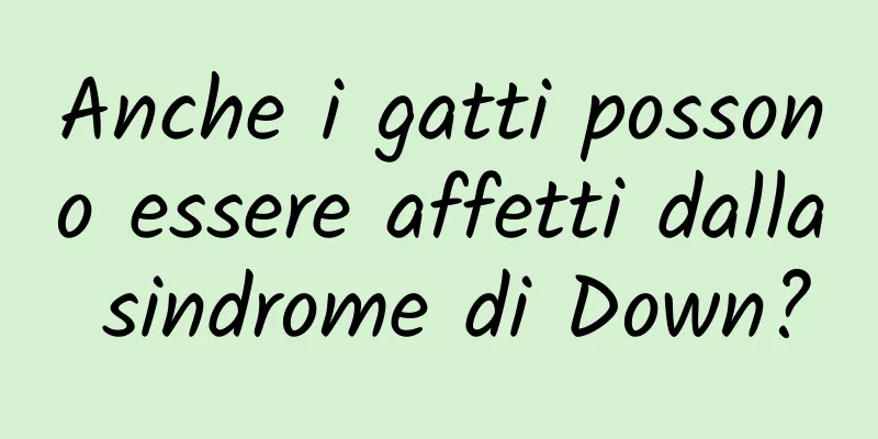 Anche i gatti possono essere affetti dalla sindrome di Down?