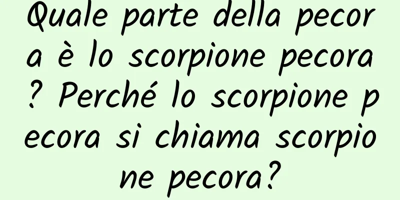 Quale parte della pecora è lo scorpione pecora? Perché lo scorpione pecora si chiama scorpione pecora?
