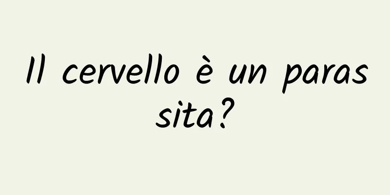 Il cervello è un parassita?