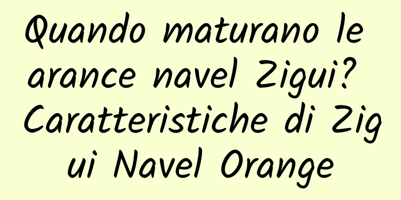 Quando maturano le arance navel Zigui? Caratteristiche di Zigui Navel Orange