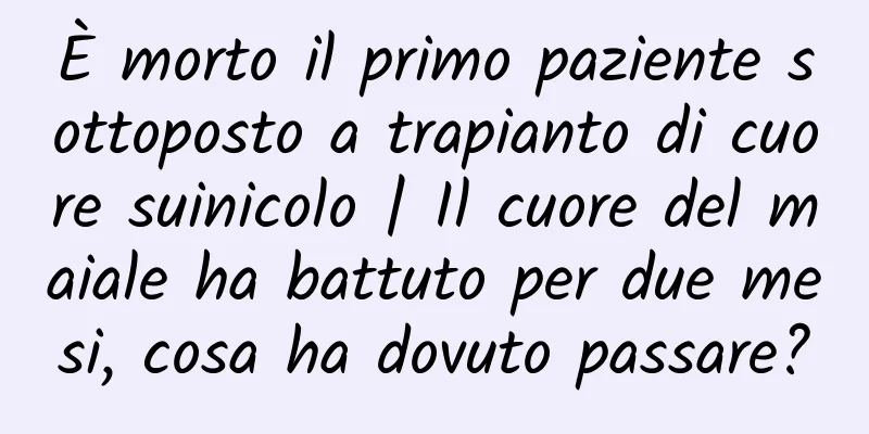 È morto il primo paziente sottoposto a trapianto di cuore suinicolo | Il cuore del maiale ha battuto per due mesi, cosa ha dovuto passare?