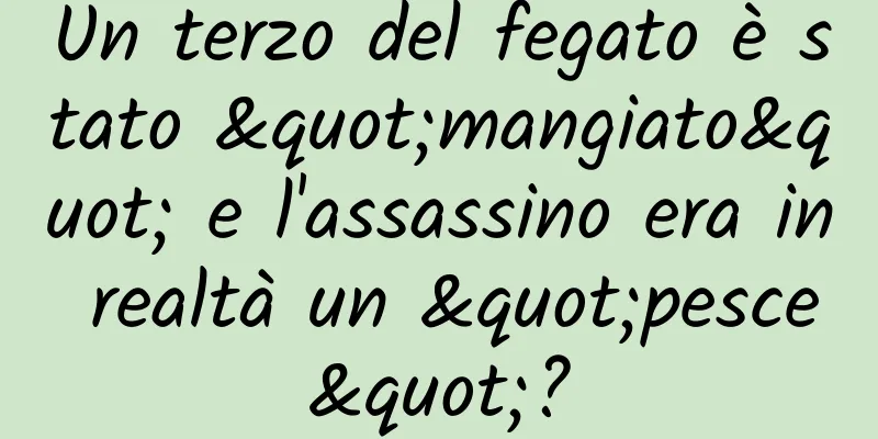 Un terzo del fegato è stato "mangiato" e l'assassino era in realtà un "pesce"?