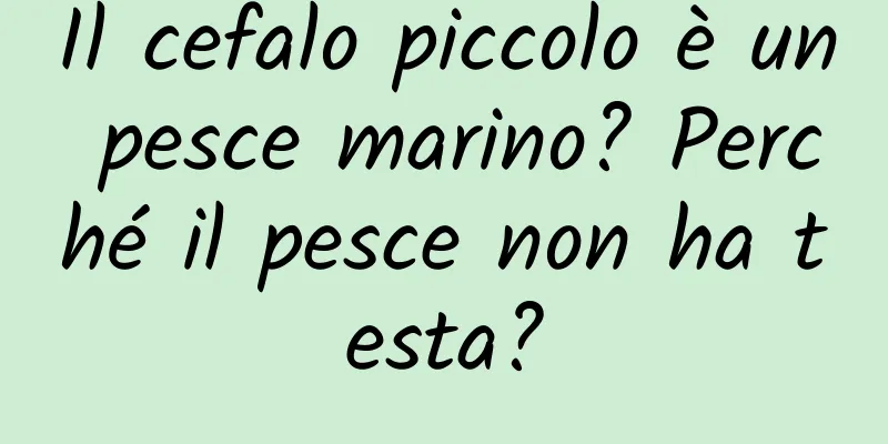 Il cefalo piccolo è un pesce marino? Perché il pesce non ha testa?