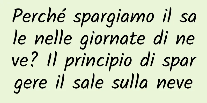 Perché spargiamo il sale nelle giornate di neve? Il principio di spargere il sale sulla neve