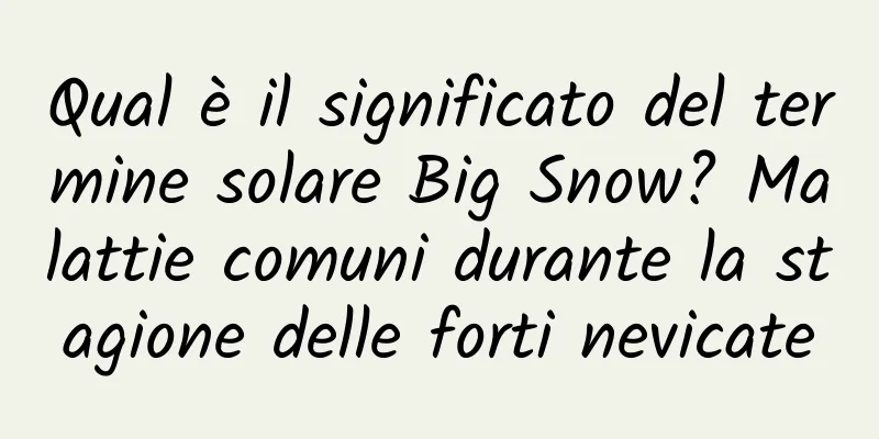 Qual è il significato del termine solare Big Snow? Malattie comuni durante la stagione delle forti nevicate