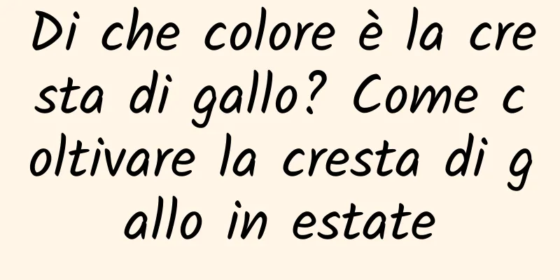 Di che colore è la cresta di gallo? Come coltivare la cresta di gallo in estate