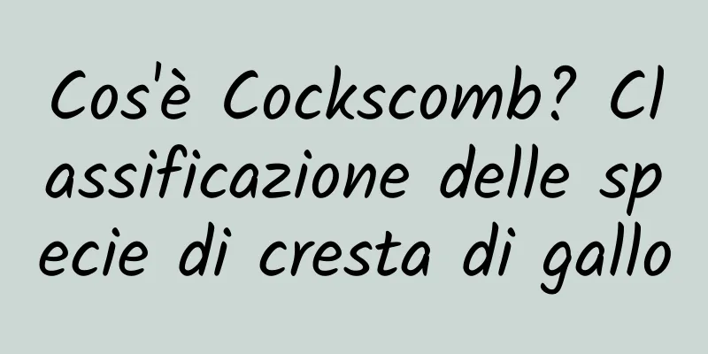Cos'è Cockscomb? Classificazione delle specie di cresta di gallo