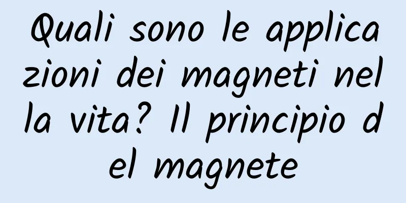 Quali sono le applicazioni dei magneti nella vita? Il principio del magnete