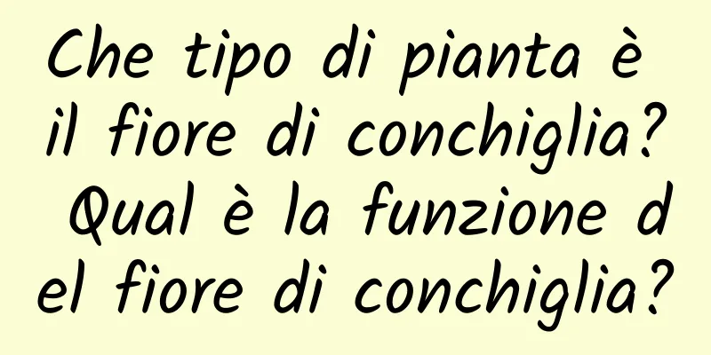 Che tipo di pianta è il fiore di conchiglia? Qual è la funzione del fiore di conchiglia?