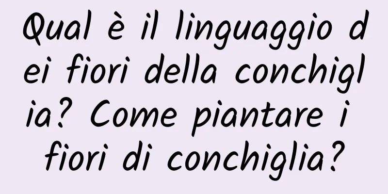 Qual è il linguaggio dei fiori della conchiglia? Come piantare i fiori di conchiglia?