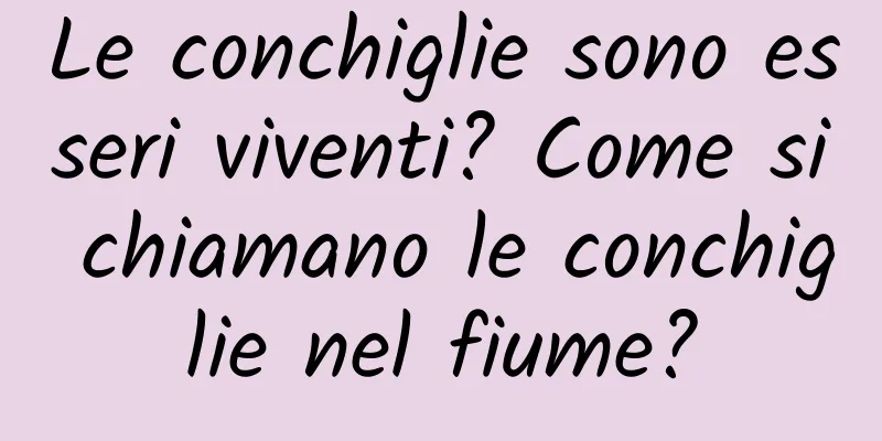 Le conchiglie sono esseri viventi? Come si chiamano le conchiglie nel fiume?