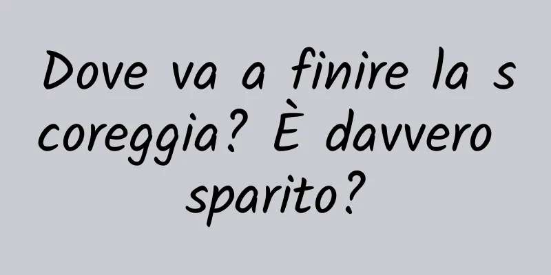 Dove va a finire la scoreggia? È davvero sparito?