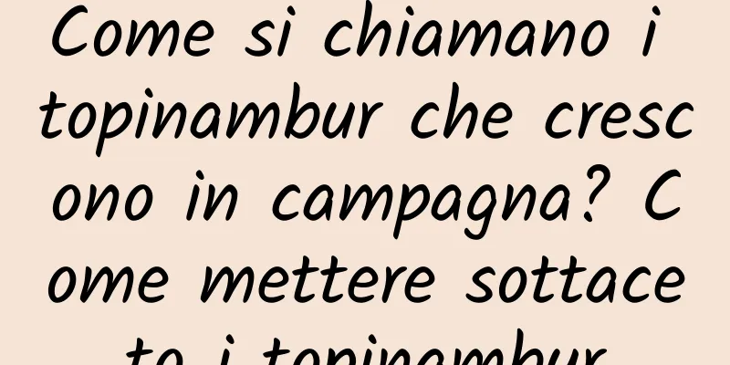 Come si chiamano i topinambur che crescono in campagna? Come mettere sottaceto i topinambur