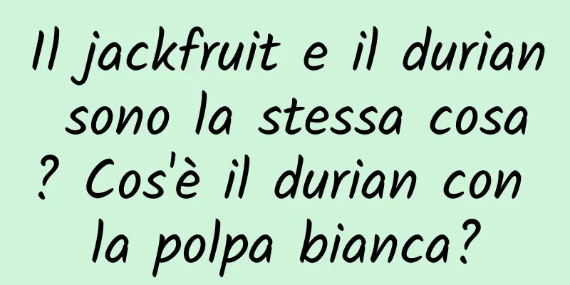 Il jackfruit e il durian sono la stessa cosa? Cos'è il durian con la polpa bianca?