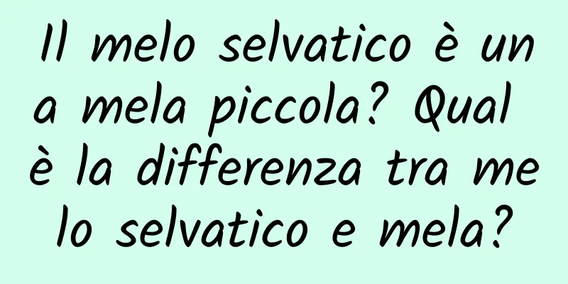 Il melo selvatico è una mela piccola? Qual è la differenza tra melo selvatico e mela?