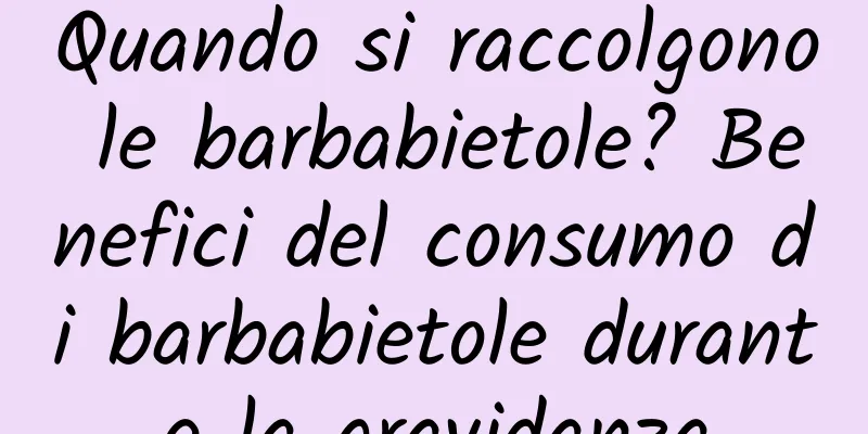 Quando si raccolgono le barbabietole? Benefici del consumo di barbabietole durante la gravidanza