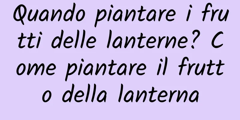 Quando piantare i frutti delle lanterne? Come piantare il frutto della lanterna