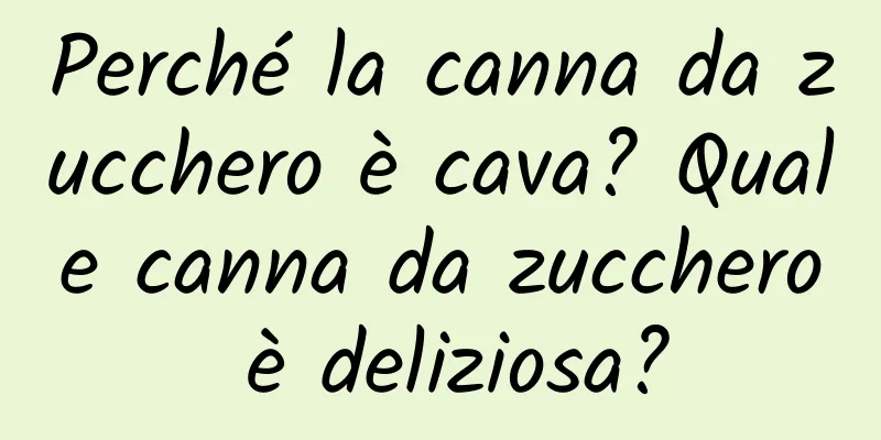 Perché la canna da zucchero è cava? Quale canna da zucchero è deliziosa?