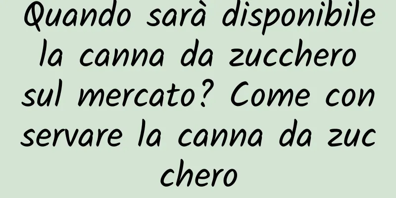 Quando sarà disponibile la canna da zucchero sul mercato? Come conservare la canna da zucchero
