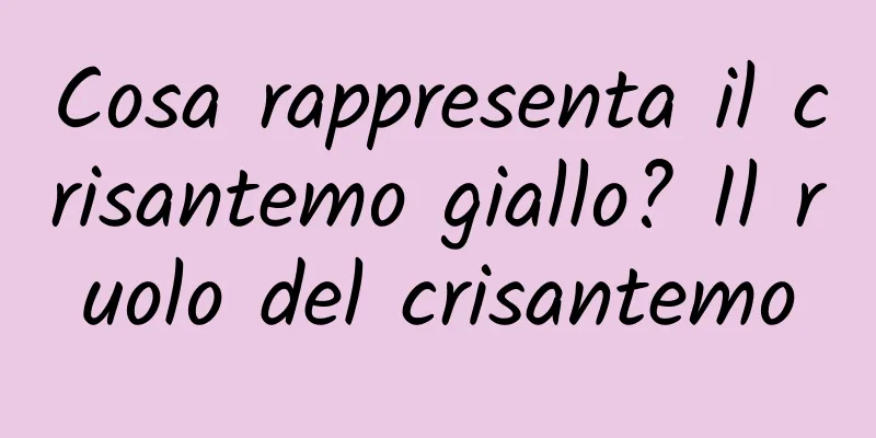 Cosa rappresenta il crisantemo giallo? Il ruolo del crisantemo