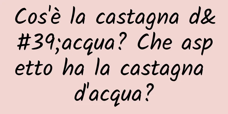 Cos'è la castagna d'acqua? Che aspetto ha la castagna d'acqua?
