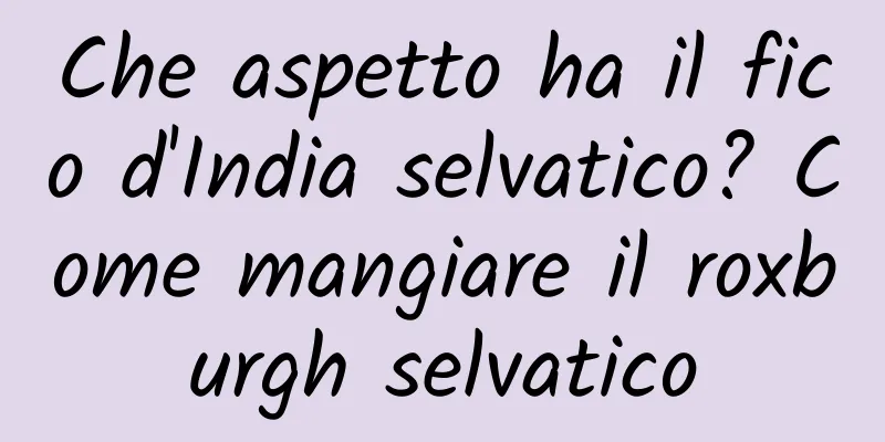 Che aspetto ha il fico d'India selvatico? Come mangiare il roxburgh selvatico