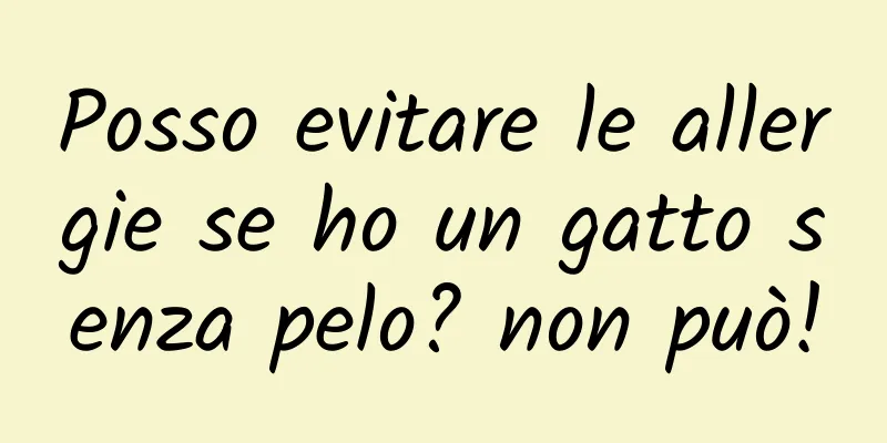 Posso evitare le allergie se ho un gatto senza pelo? non può!