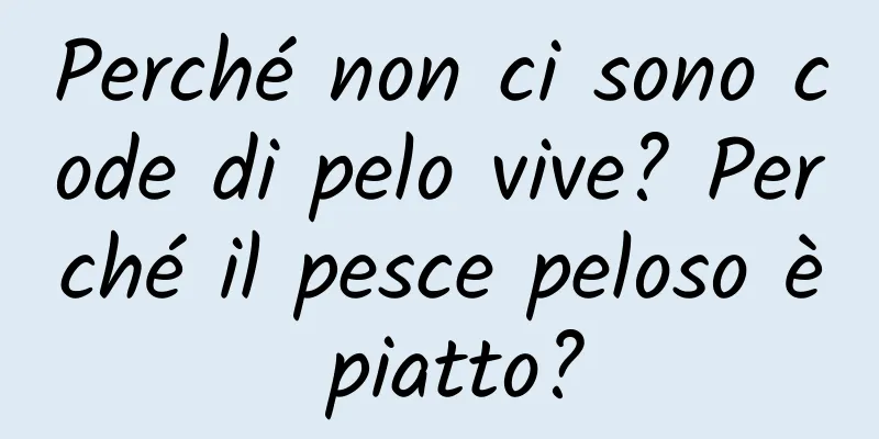 Perché non ci sono code di pelo vive? Perché il pesce peloso è piatto?