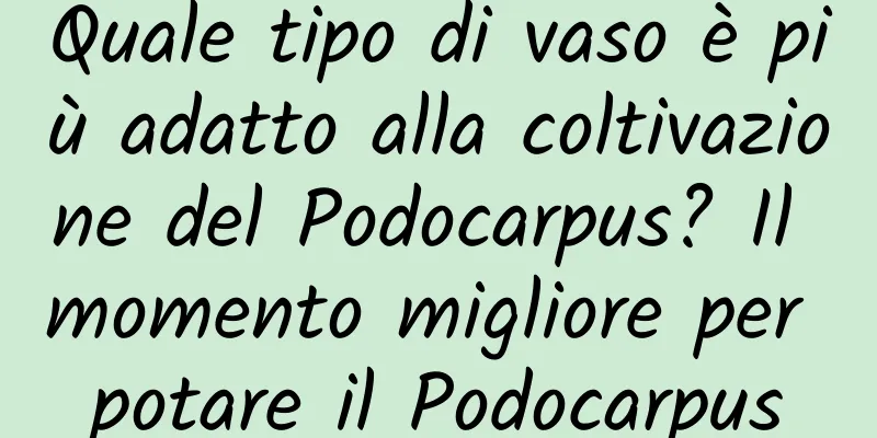 Quale tipo di vaso è più adatto alla coltivazione del Podocarpus? Il momento migliore per potare il Podocarpus