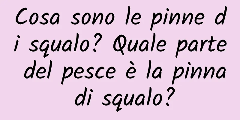 Cosa sono le pinne di squalo? Quale parte del pesce è la pinna di squalo?