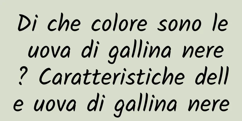 Di che colore sono le uova di gallina nere? Caratteristiche delle uova di gallina nere