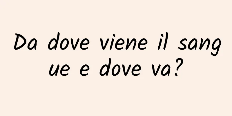 Da dove viene il sangue e dove va?