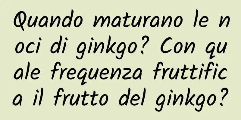 Quando maturano le noci di ginkgo? Con quale frequenza fruttifica il frutto del ginkgo?
