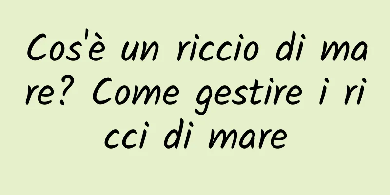 Cos'è un riccio di mare? Come gestire i ricci di mare
