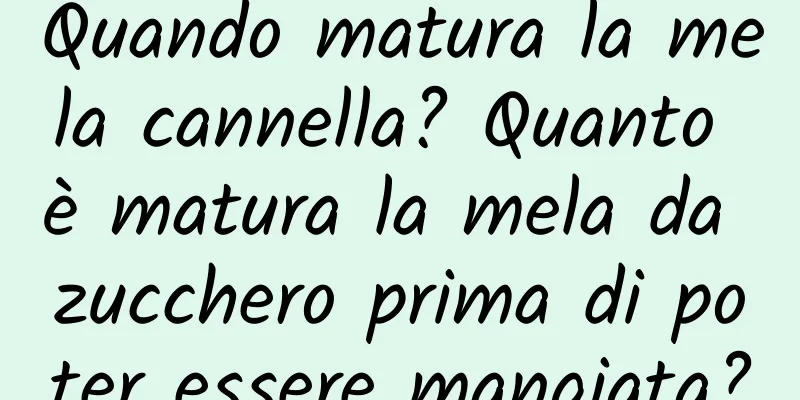 Quando matura la mela cannella? Quanto è matura la mela da zucchero prima di poter essere mangiata?