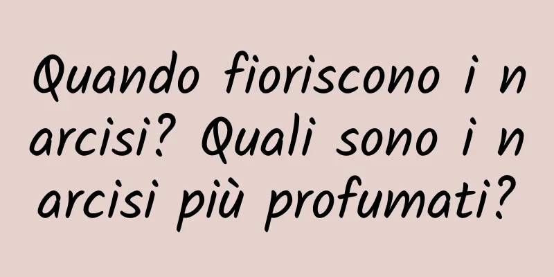 Quando fioriscono i narcisi? Quali sono i narcisi più profumati?