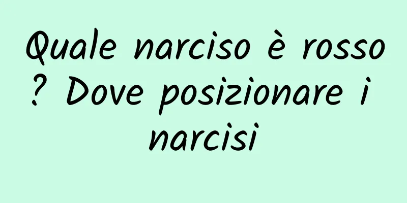 Quale narciso è rosso? Dove posizionare i narcisi