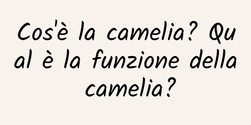 Cos'è la camelia? Qual è la funzione della camelia?