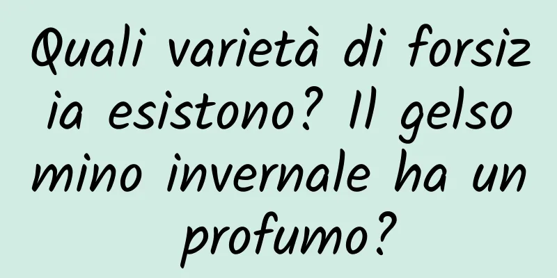 Quali varietà di forsizia esistono? Il gelsomino invernale ha un profumo?