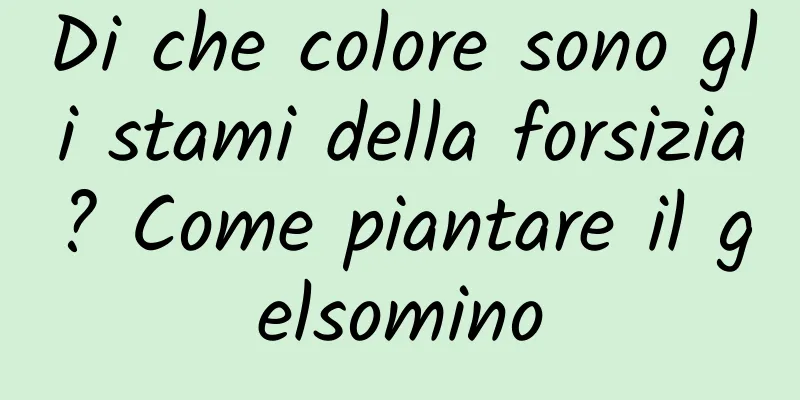 Di che colore sono gli stami della forsizia? Come piantare il gelsomino