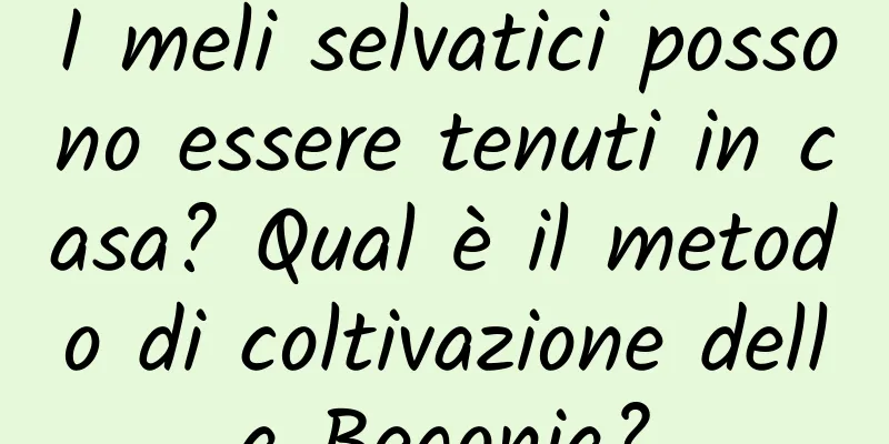 I meli selvatici possono essere tenuti in casa? Qual è il metodo di coltivazione della Begonia?