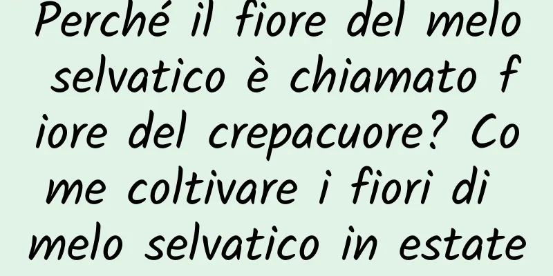 Perché il fiore del melo selvatico è chiamato fiore del crepacuore? Come coltivare i fiori di melo selvatico in estate