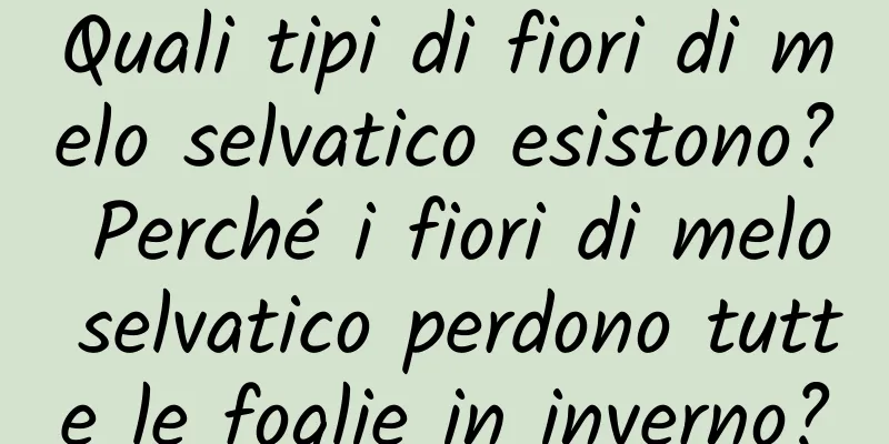 Quali tipi di fiori di melo selvatico esistono? Perché i fiori di melo selvatico perdono tutte le foglie in inverno?