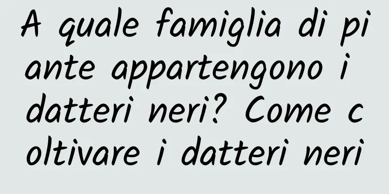 A quale famiglia di piante appartengono i datteri neri? Come coltivare i datteri neri
